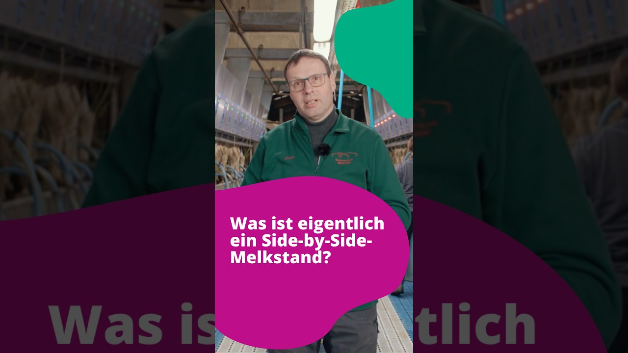 Der Side-by-Side Melkstand