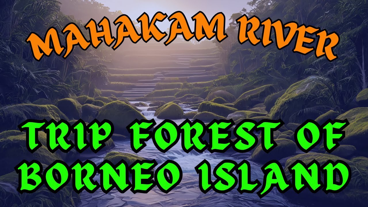 Traveling along the Mahakam River in the wilderness of the Borneo Island forest