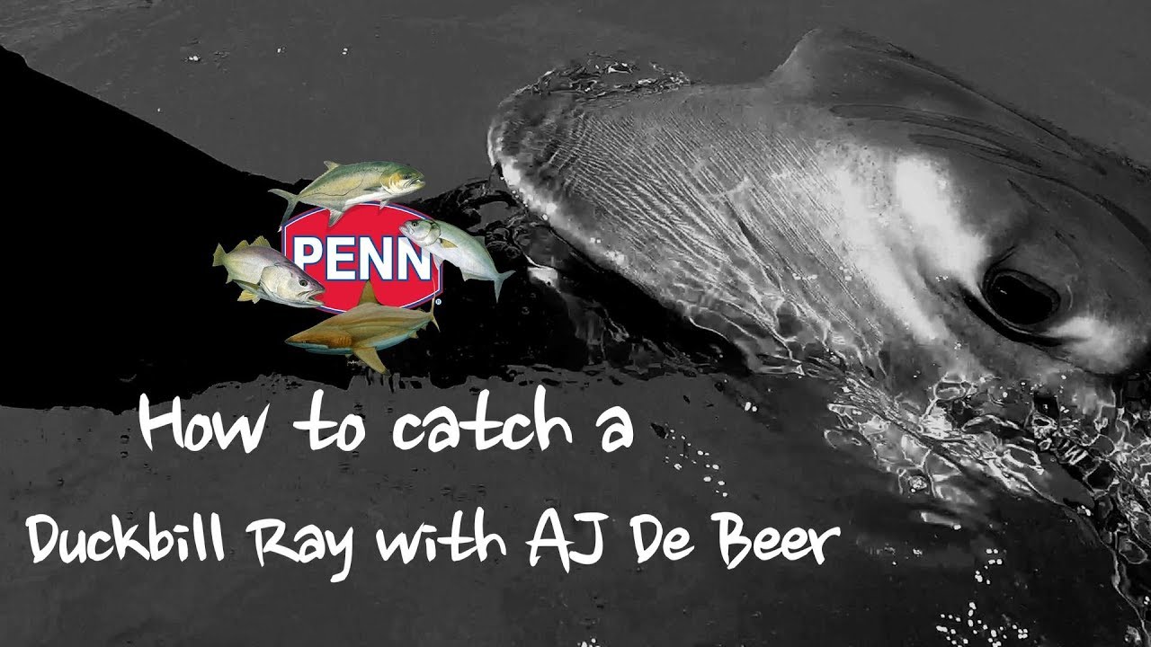 Aj De beer Personal Gopro Footage : How to catch a Duckbill