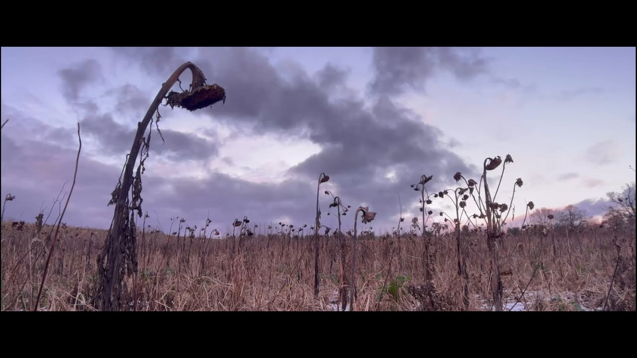 JUDISON | WNTRTIME- FREESTYLE (OFFICIAL VISUALISER)