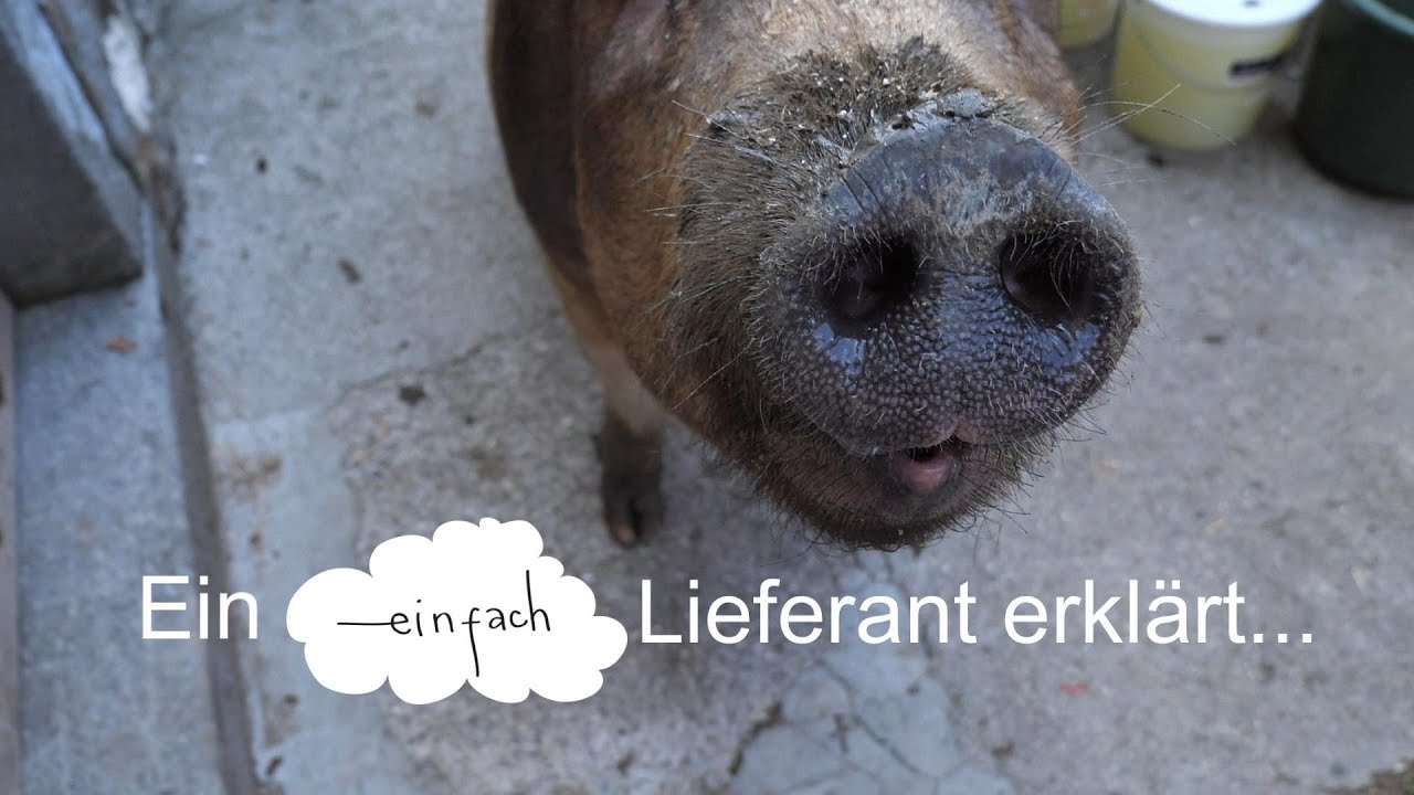 Folge 1: Hannes Zauner & der Aumayrhof – Duroc-Schweine im 0-Schwund-System