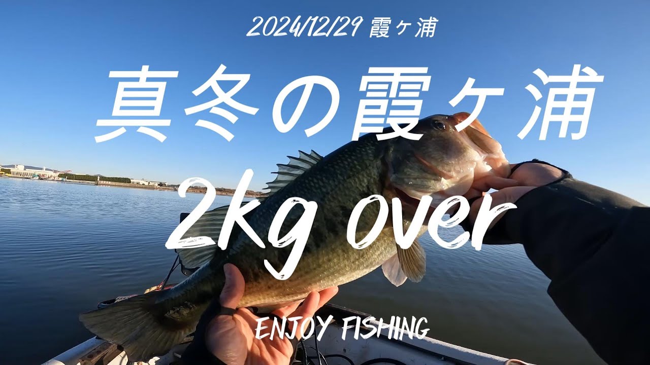 【12月バス釣り】カスミ最高ーって動画です。