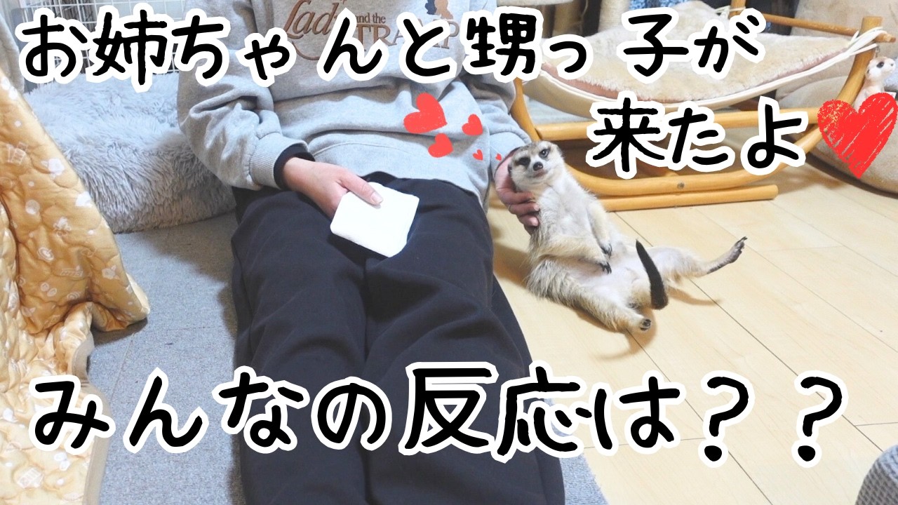 【警戒態勢‼️】お姉ちゃん達が来た時のみんなの反応は？？
