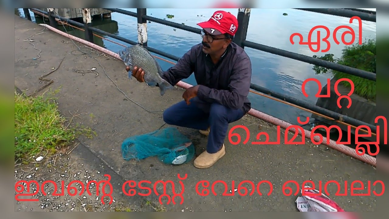 ചൂടൻ ചെമ്മീൻ ഉപയോഗിച്ചുള്ള ചൂണ്ടയിടൽ