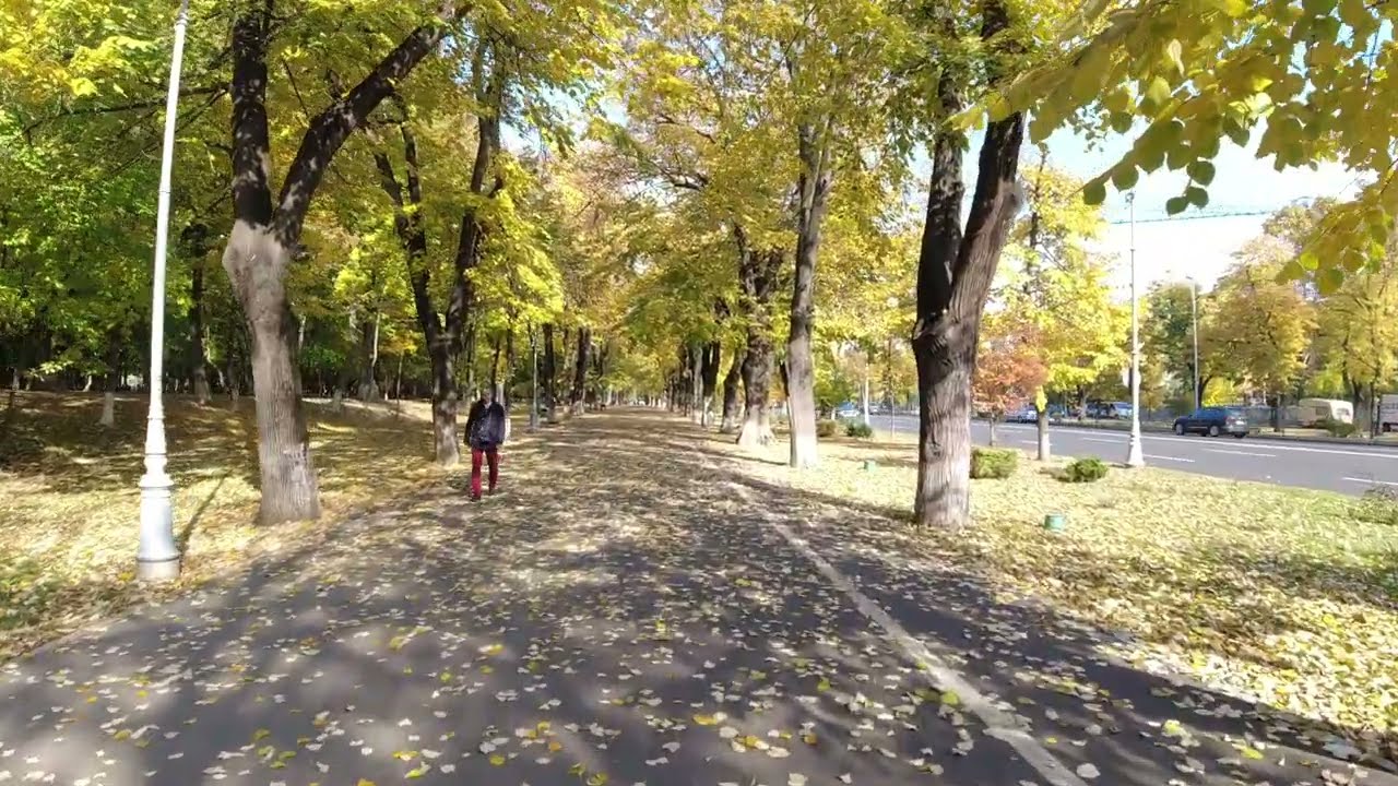 Bükreş'te sonbahar yürüyüş için  caddeler ve sokaklar çok güzel ve sakin#bucharest#romania#travel