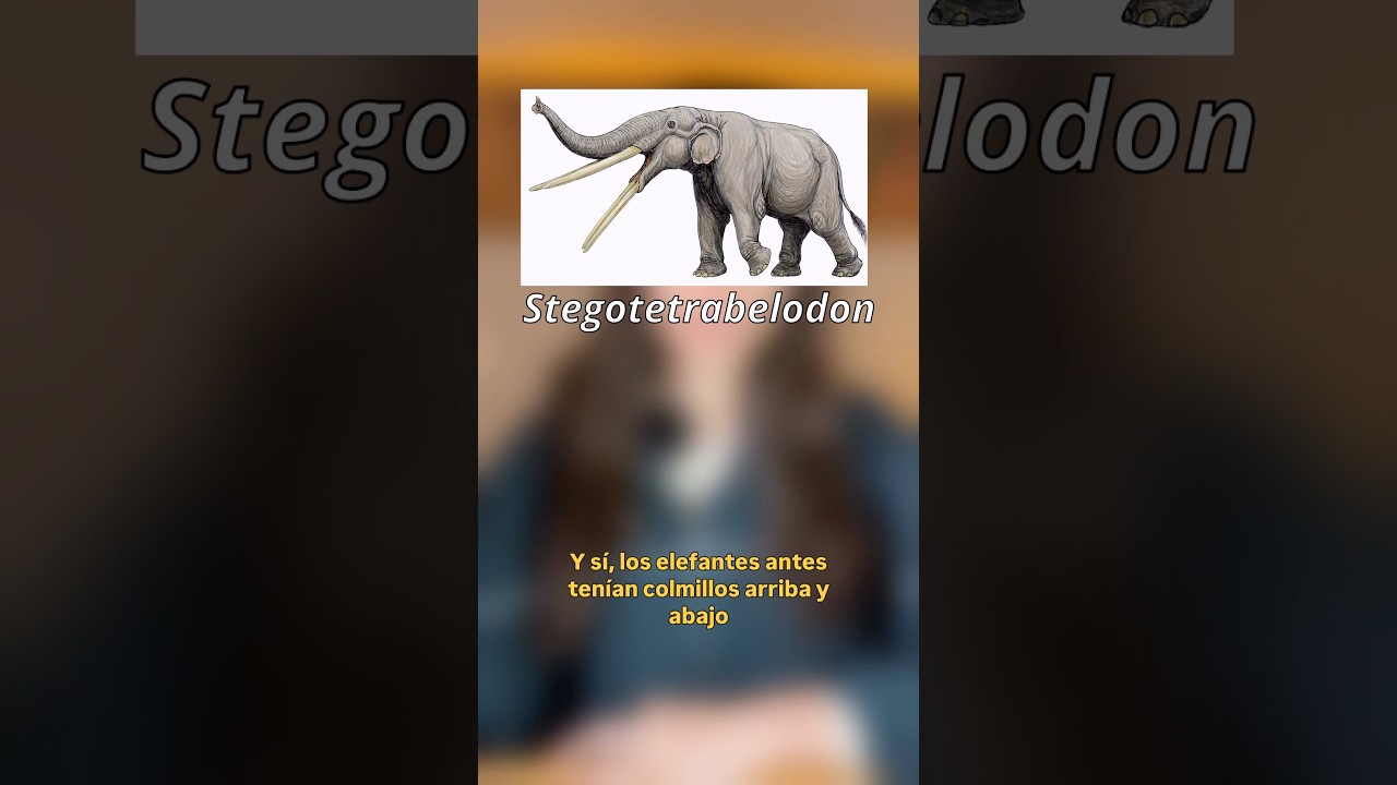 Los elefantes antes tenían colmillos arriba y abajo