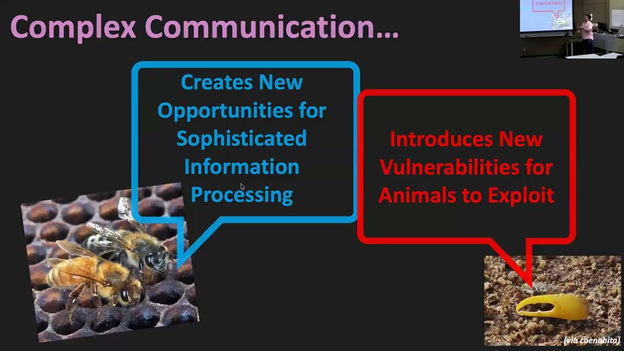 BIO 331: Lecture D3 (2025-09-30): Honest Signals, Deceit, and Interspecific Communication