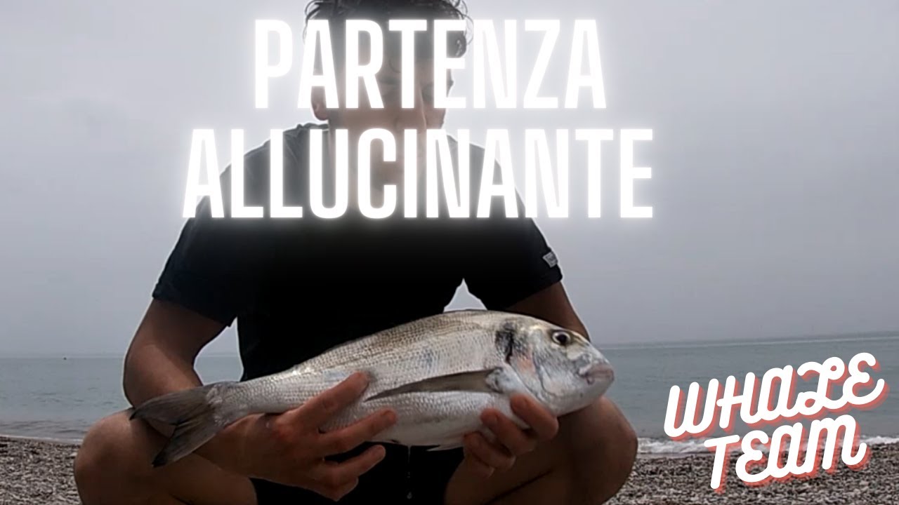 MANGIATA ALLUCINANTE !!!!SUPER ORATAAAAA!!! WHALETEAM