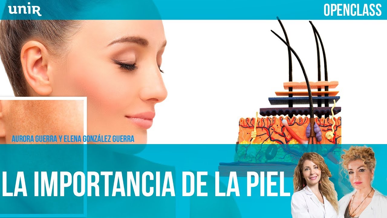 La importancia de la piel | UNIR OPENCLASS