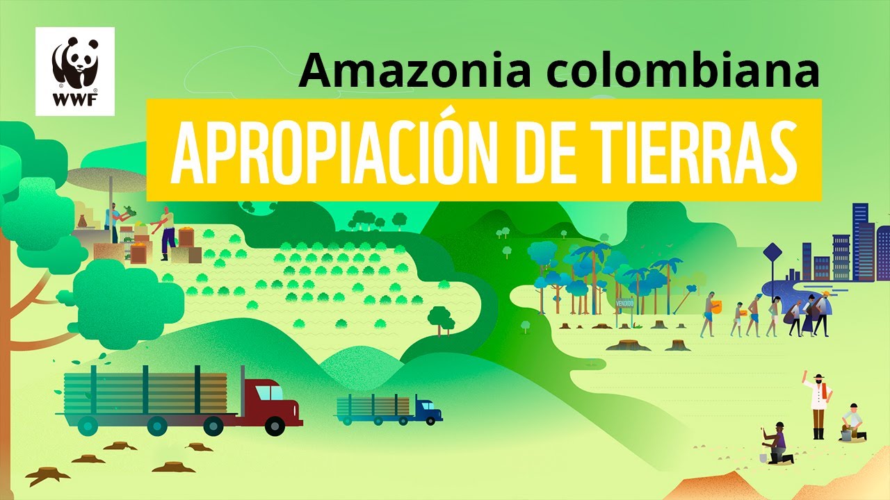 ¿Quiénes están detrás de la apropiación de tierras en la Amazonia colombiana?