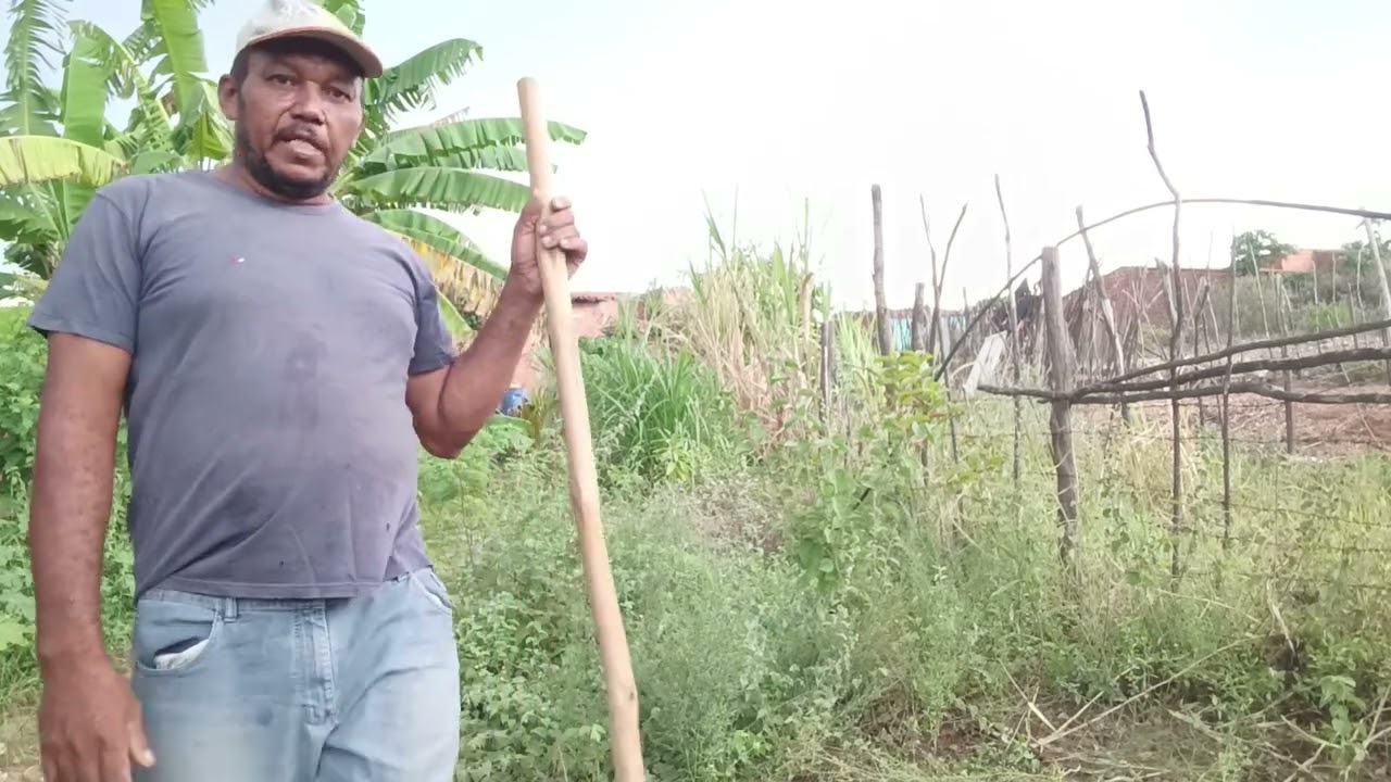 LIMPANDO OS MATOS DO MEU QUINTAL PARA PLANTAR MILHO E FEIJÃO