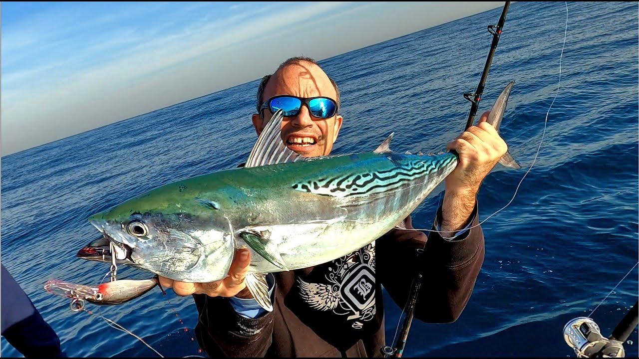 האקשן חוזר לסירה שלנו 🐟 טרולינג וסלו - Trolling and Slow jigging action 4K video HE/EN Subs