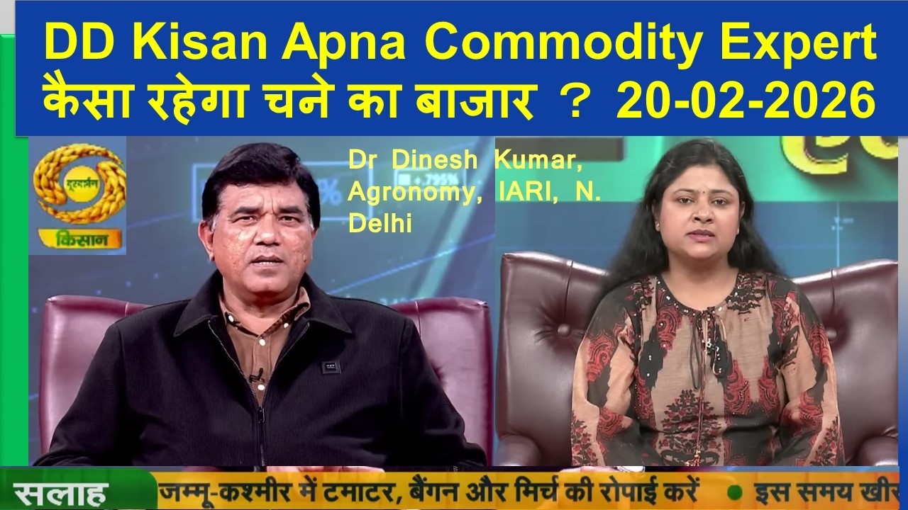 Apna Commodity Expert ｜ कैसा रहेगा चने का बाजार ？  ｜ DD Kisan