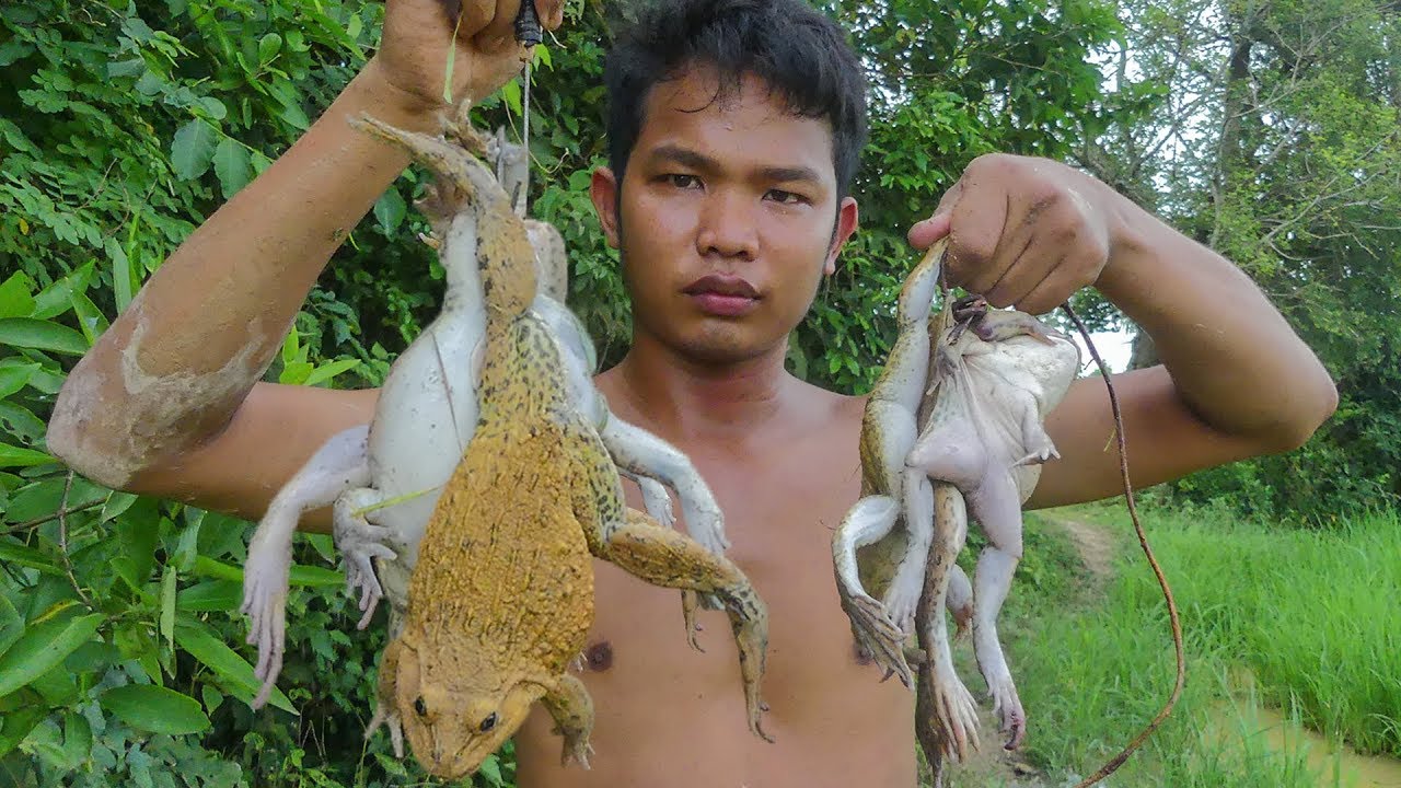 Primitive Technology: Finding Frog by Hook and Cooking Frog Sour Soup Eating Delicious