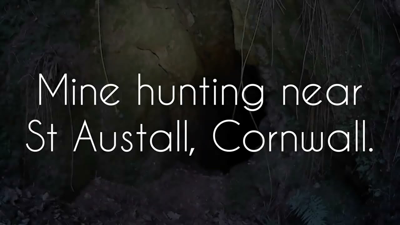 Mine hunting down near St Austell mid Cornwall...