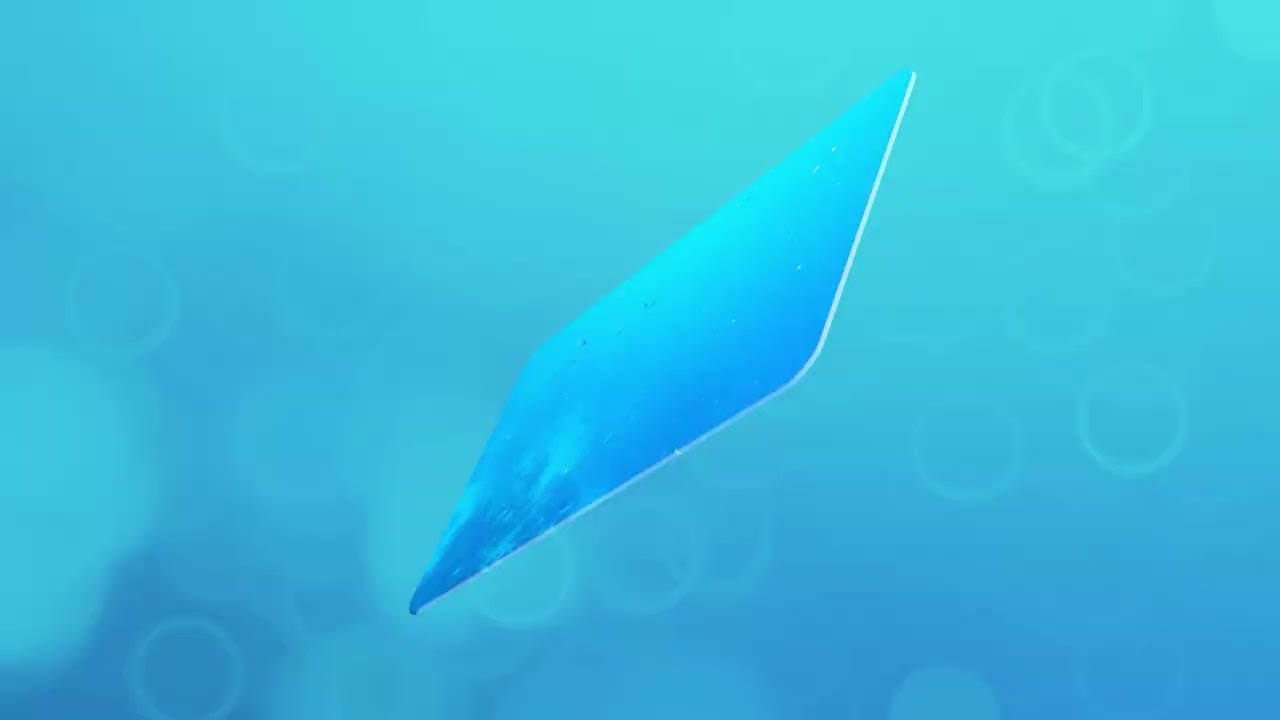 Egypte   Coroya beach   Marsa alam   Snorkeling 1