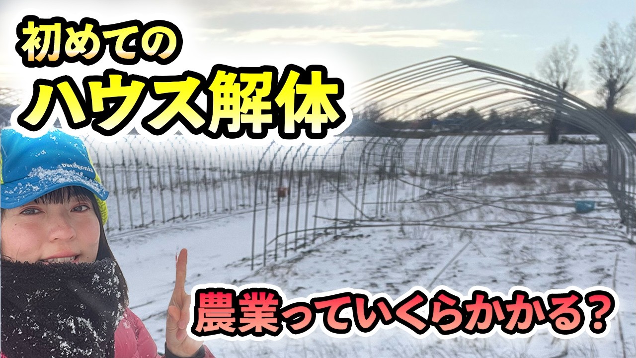 【北海道】農業始めるのにいくらかかる？ハウス解体ドキュメント