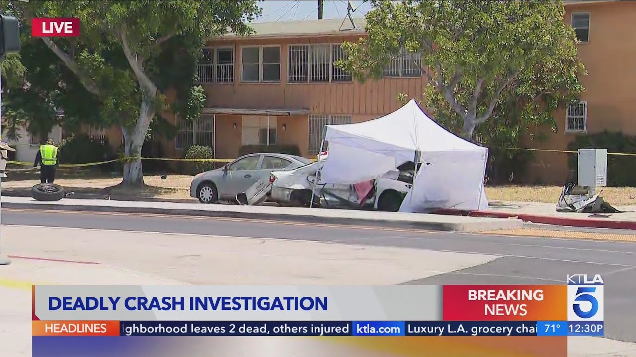 2 dead, child critically injured in Hyde Park crash