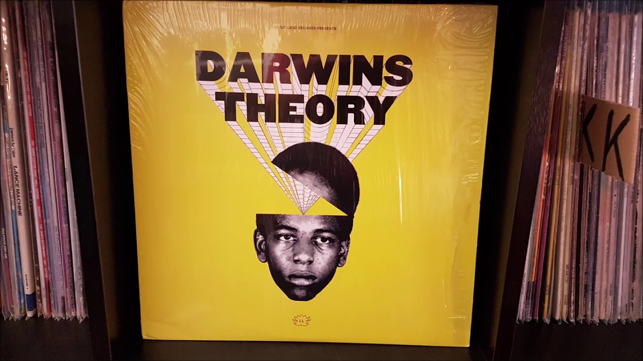 darwin's theory funky sounds