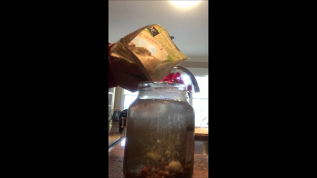 Homemade Probiotic Tea