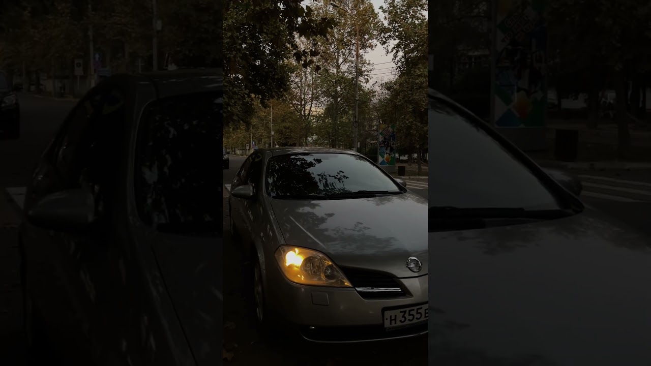 #automobile #nissan #nissanprimera #primera #тонировка