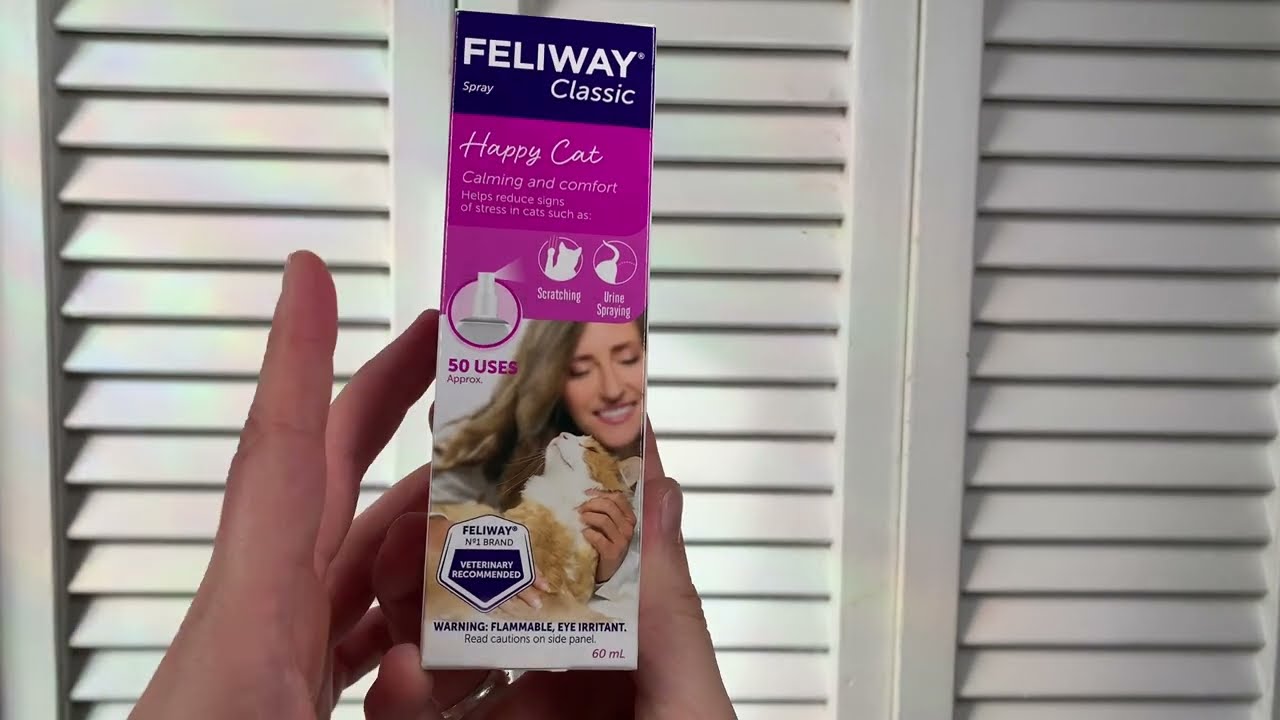 Does the Feliway Spray work? Watch to find out!
