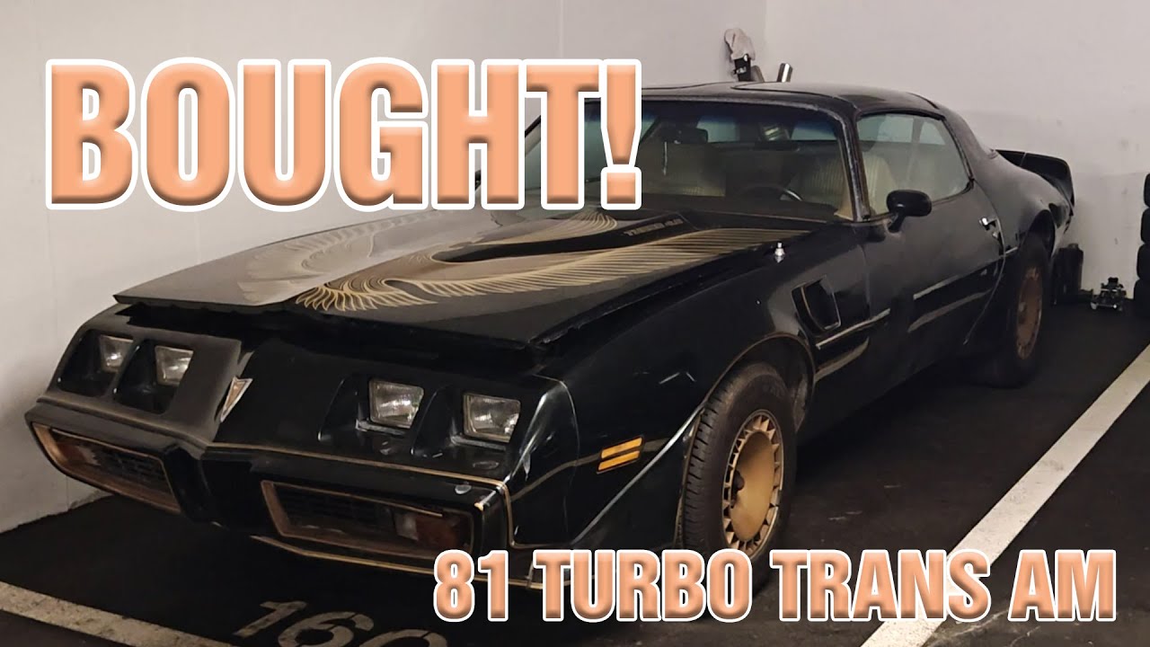 I bought a 81 Pontiac 301 Turbo Trans Am - GM Switzerland