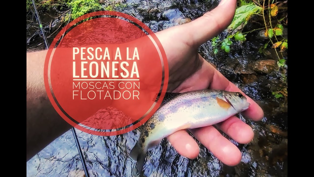 Pesca a la leonesa, mosca con flotador