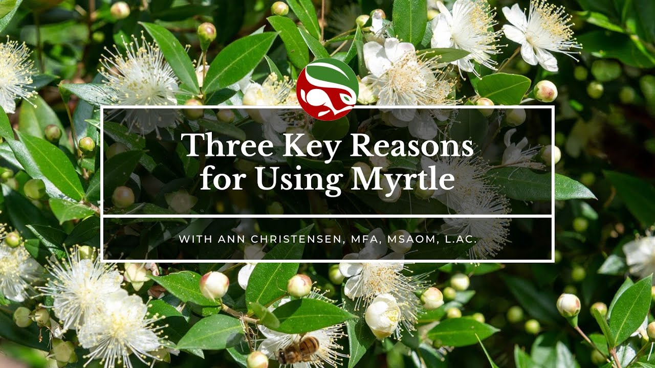 Three Key Reasons for Using Myrtle