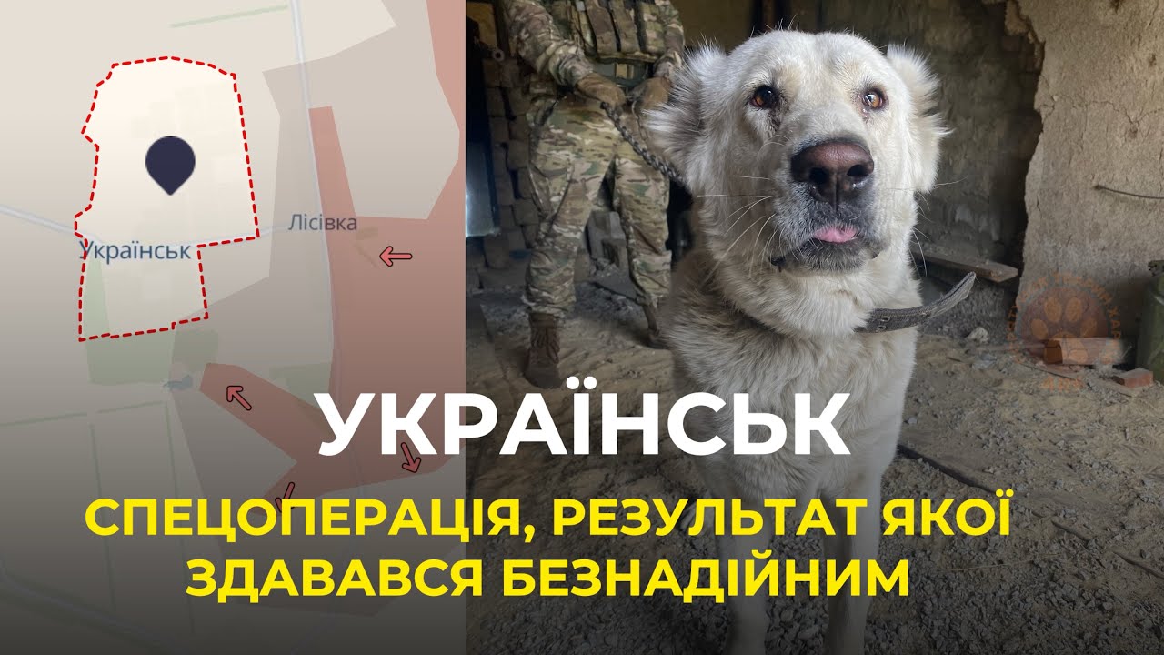 УКРАЇНСЬК | ПОРЯТУНОК АЛАБАЯ ТА ЙОГО ДРУГА | Евакуація тварин