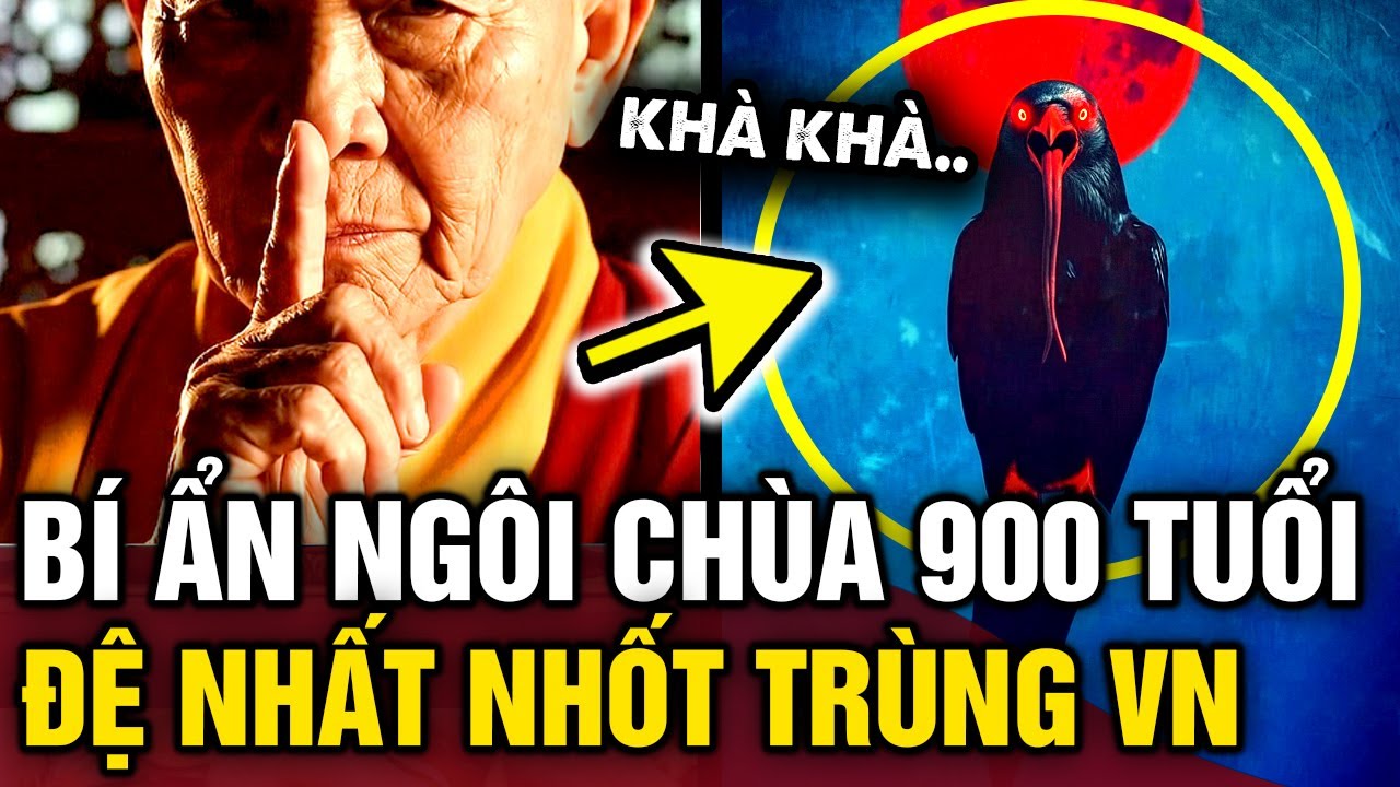 Bí ẩn ngôi chùa 900 NĂM TUỔI ở Bắc Ninh, nơi được mệnh danh ĐỆ NHẤT NHỐT TRÙNG | Tin 3 Phút Bí Ẩn