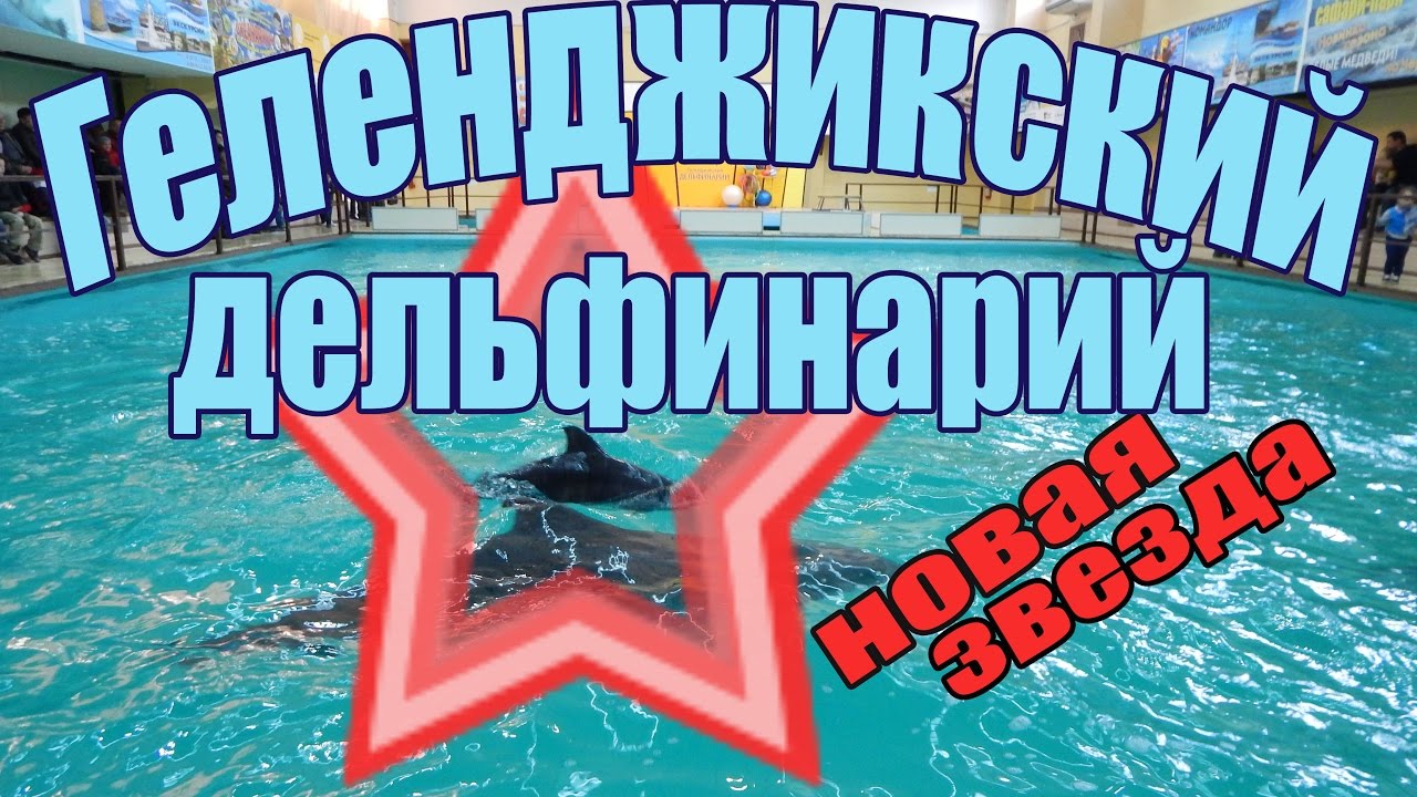 Геленджик LIFE Рождение звезды  Геленджикский Дельфинарий