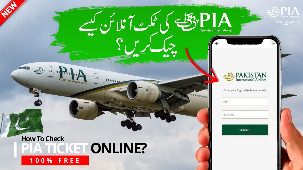 Как проверить билет PIA онлайн | Способ проверки онлайн-бронирования билета PIA