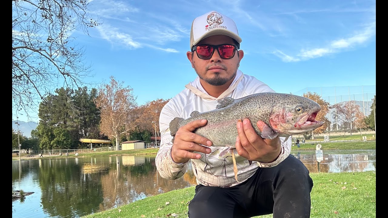 pesca de trucha en  cucamonga Guasti