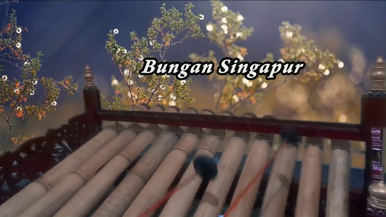 rindik - bungan singapur