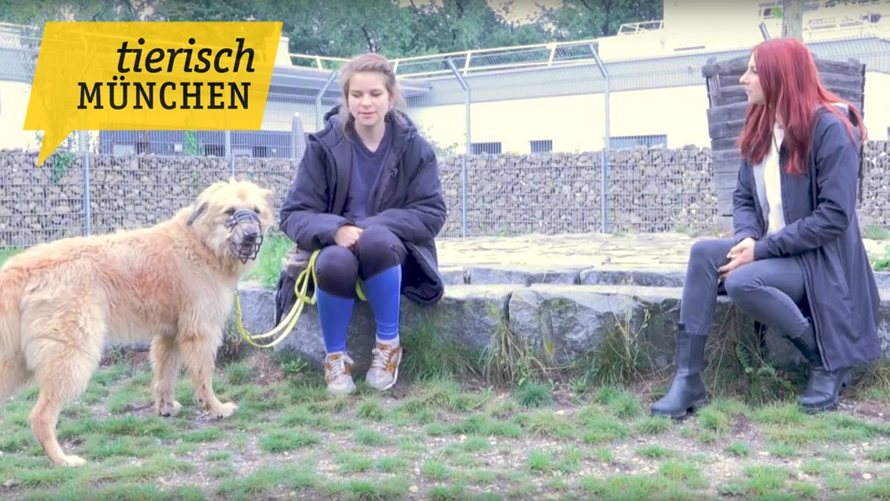 Tierisch München vom 04.09.2023