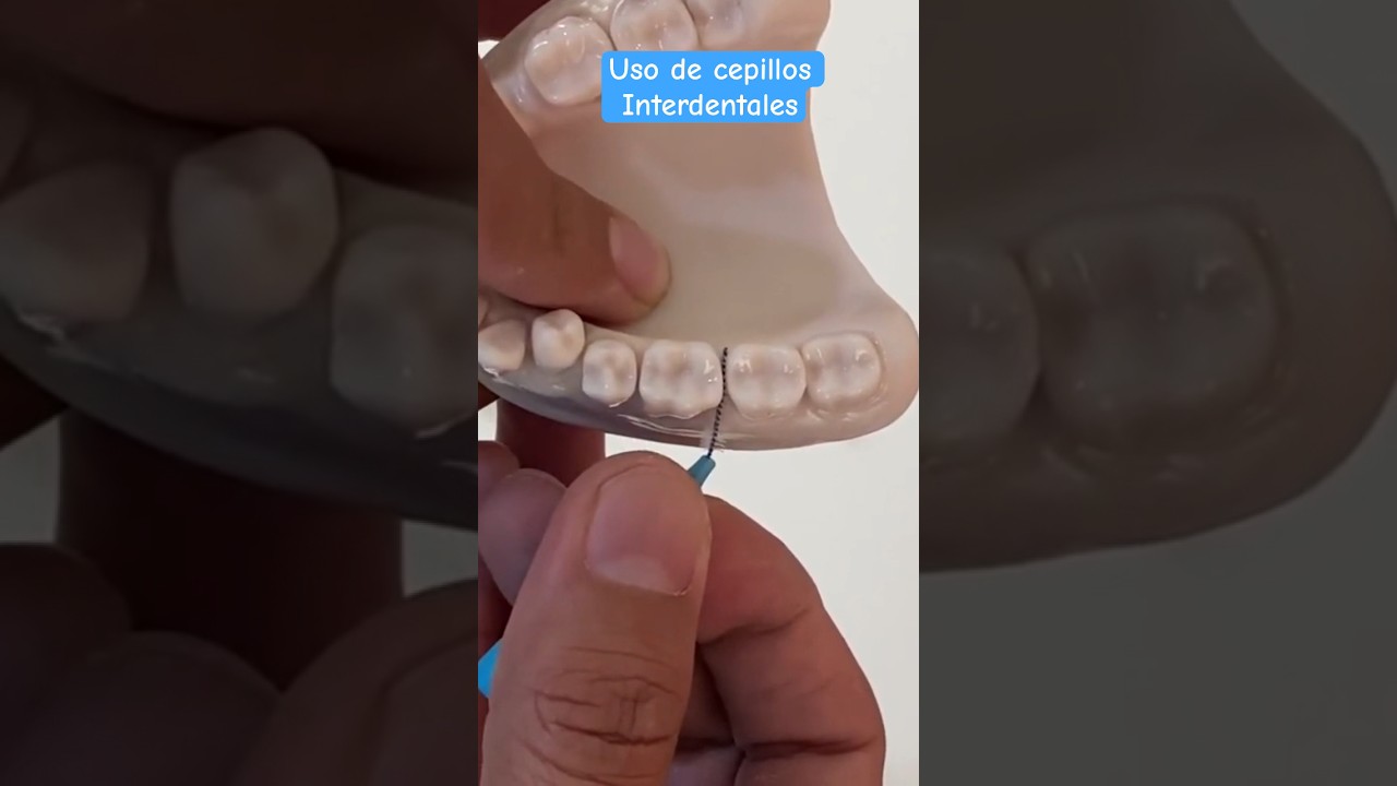 Uso de cepillos interdentales #shorts #cepillointerdental #cepillosinterdentales #tepe #tepemx