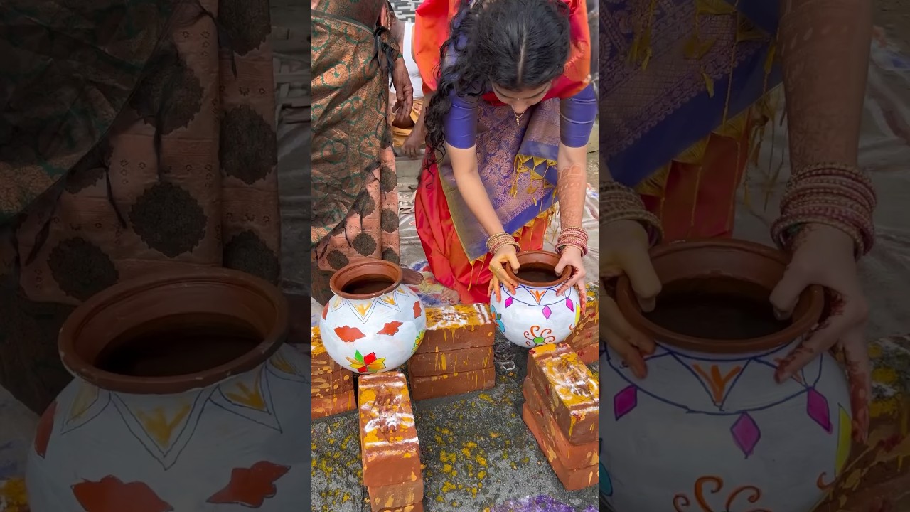 Pongal celebrations 🎉 🌾#youtubeshorts #viral #shortvideo #shorts #trending #subscribe #video   #yt