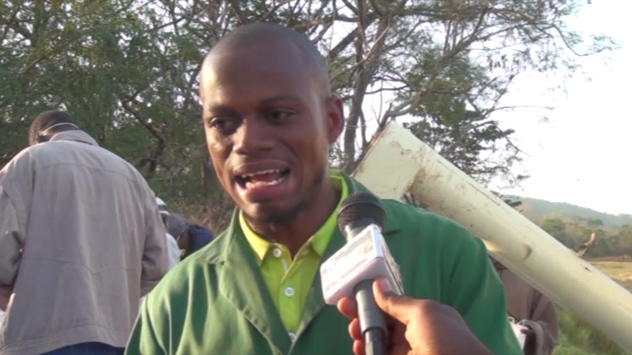 Le grand format de la moisson de riz à soubalako dans Mamou (Guinée )