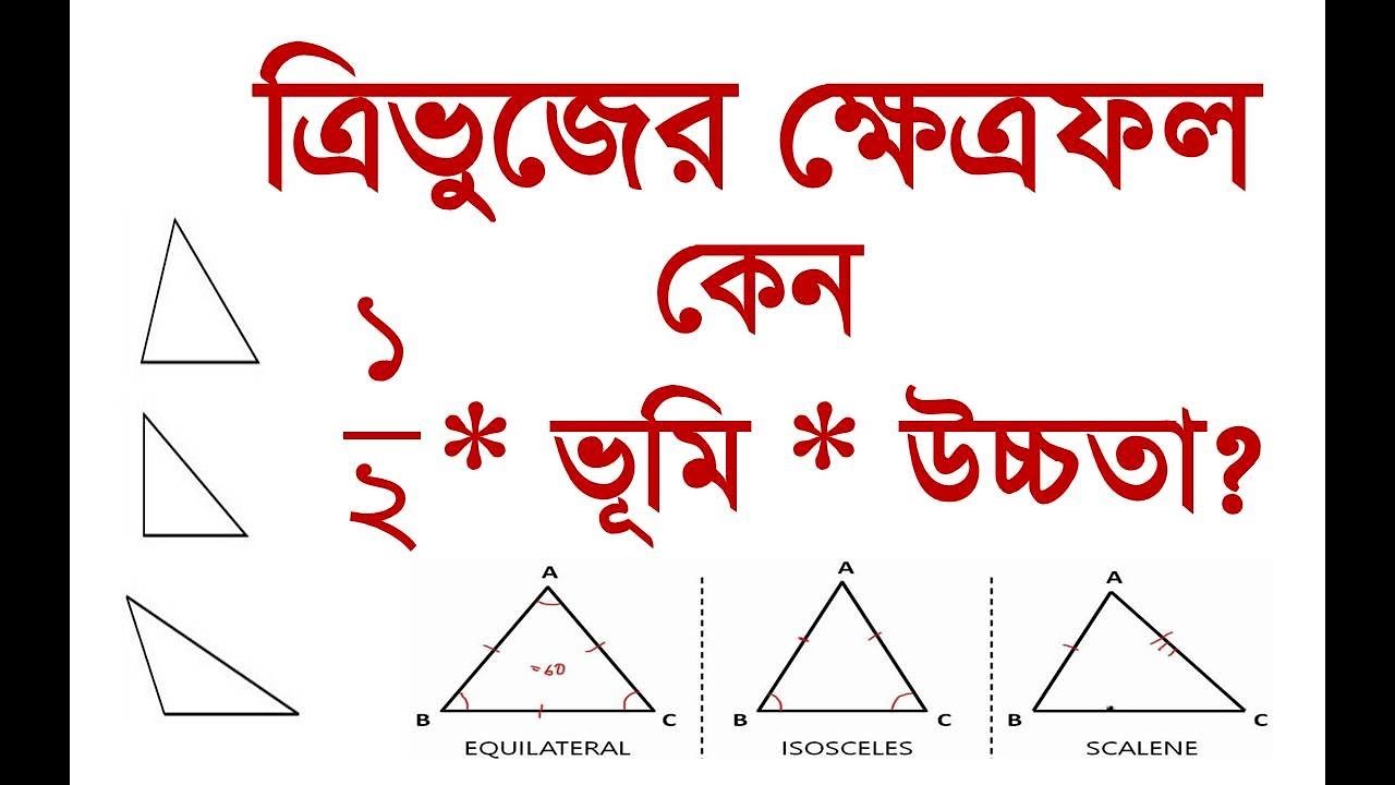 ক্ষেত্রফলের ধারণা | ত্রিভুজের ক্ষেত্রফল কেন (১/২) * ভূমি * উচ্চতা ? BCS Math Tricks