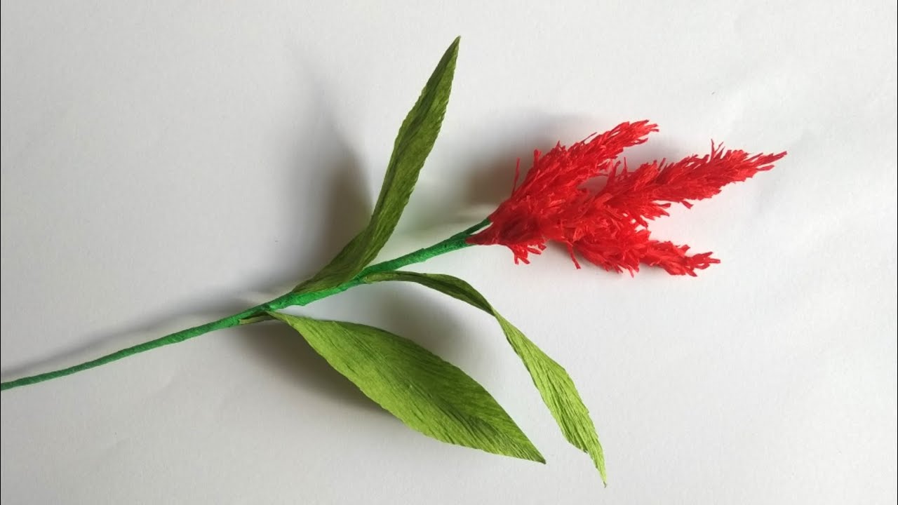 How To Make Cockscomb Paper Flowers| Coloured Paper Floral art