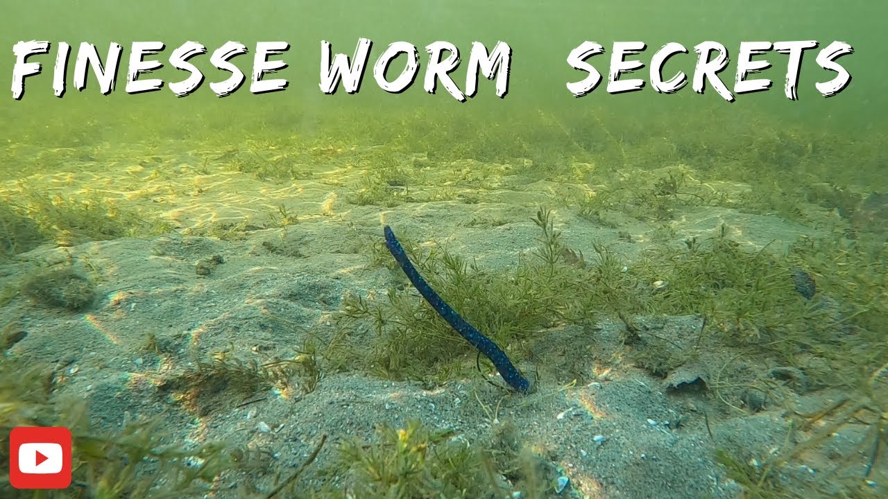 Finesse worm bass fishing . Insane underwater footage !