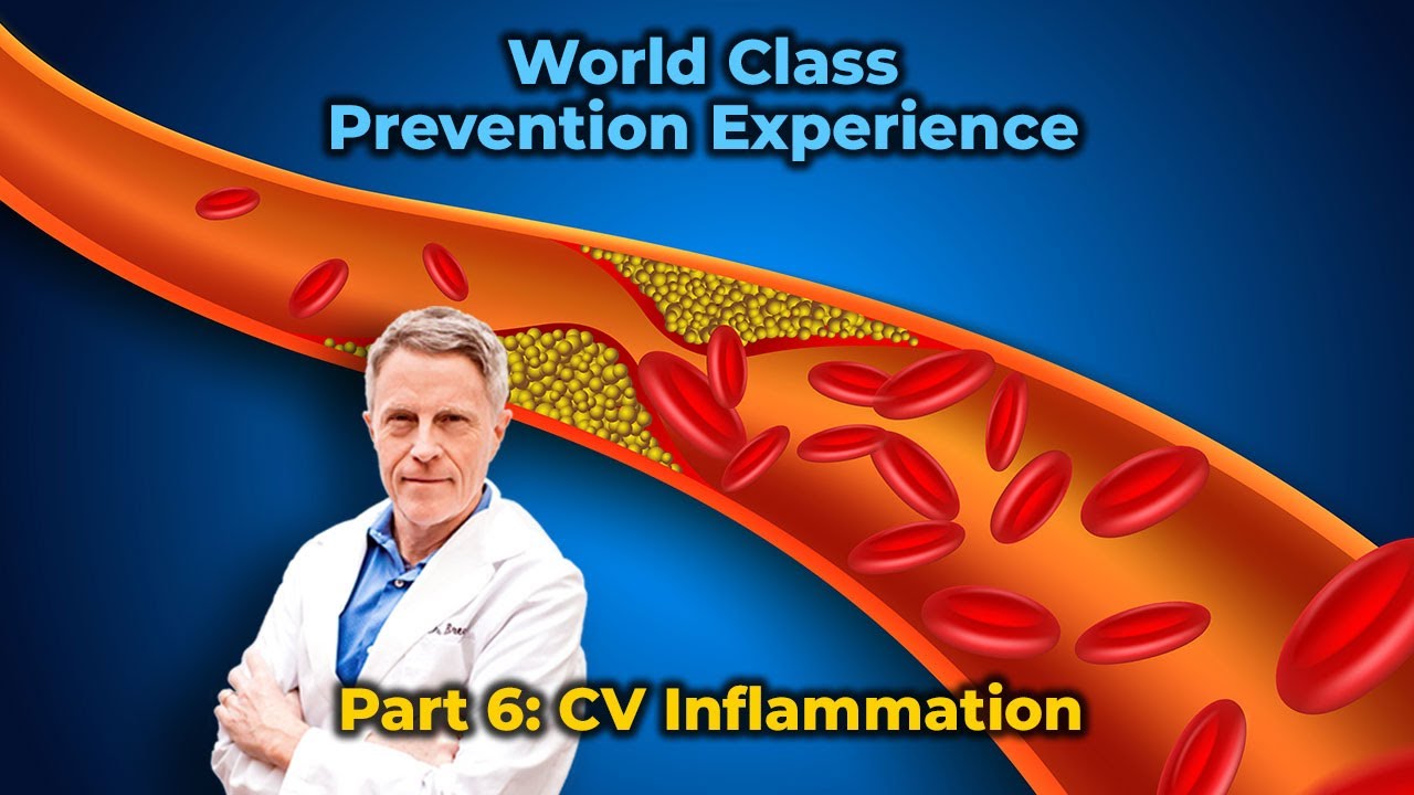 World Class Prevention Experience Part 6: CV Inflammation