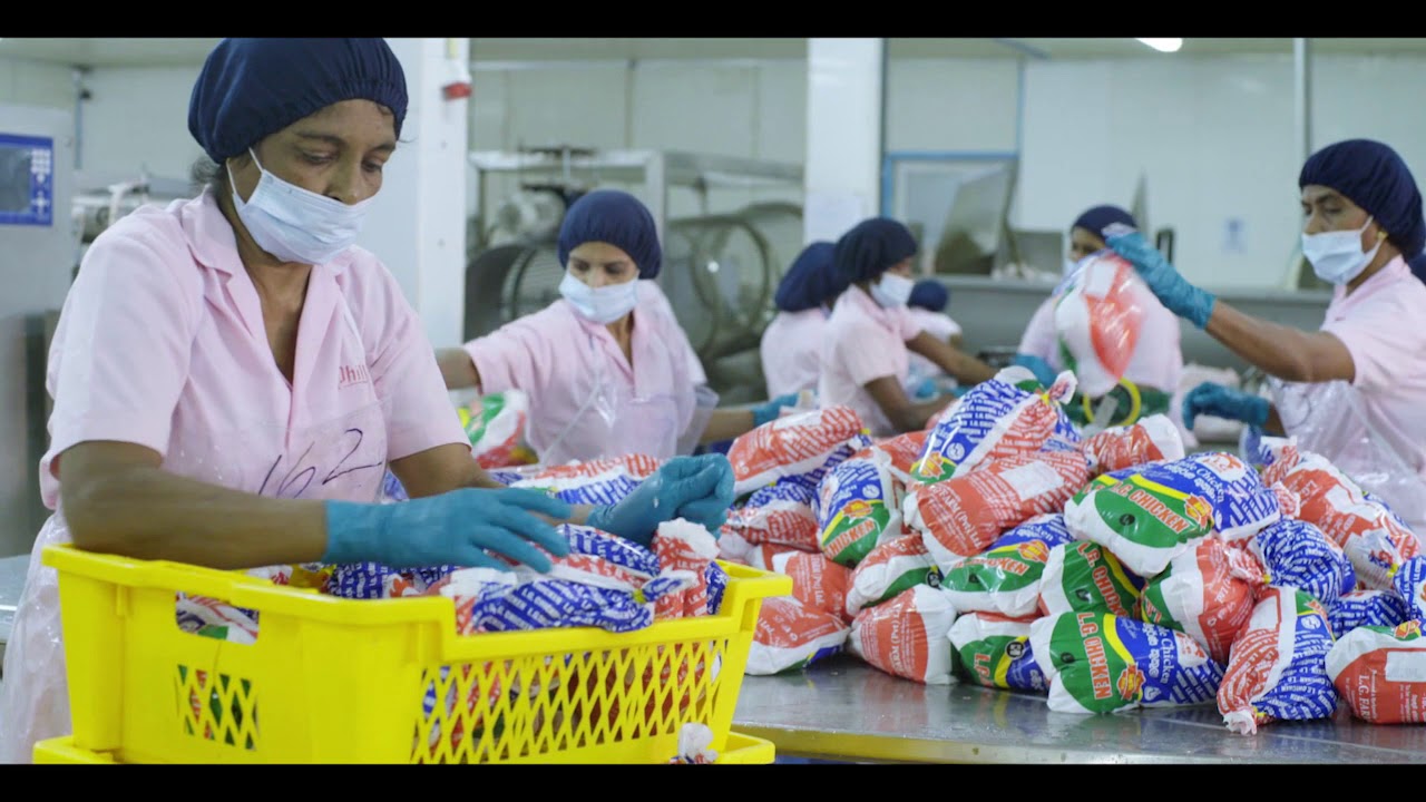 LG FARM (PVT) LTD - අපේ රටේ මතු පරපුරේ පෝෂණය