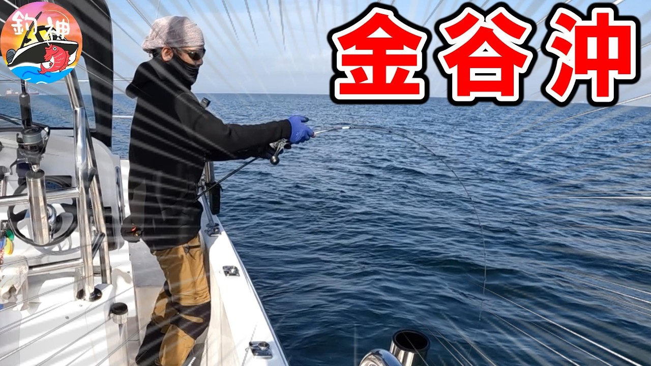 【東京湾】ベイトにジグを落としたら釣れました！
