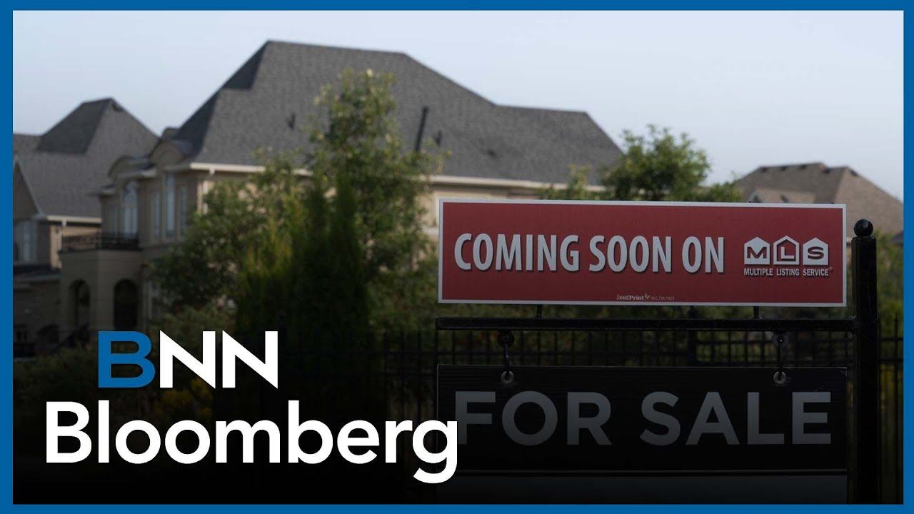 'Real estate in Canada, is probably a very big proportion of people's net worth': Vinokur