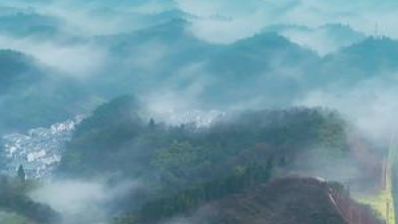 今日丛林迷雾