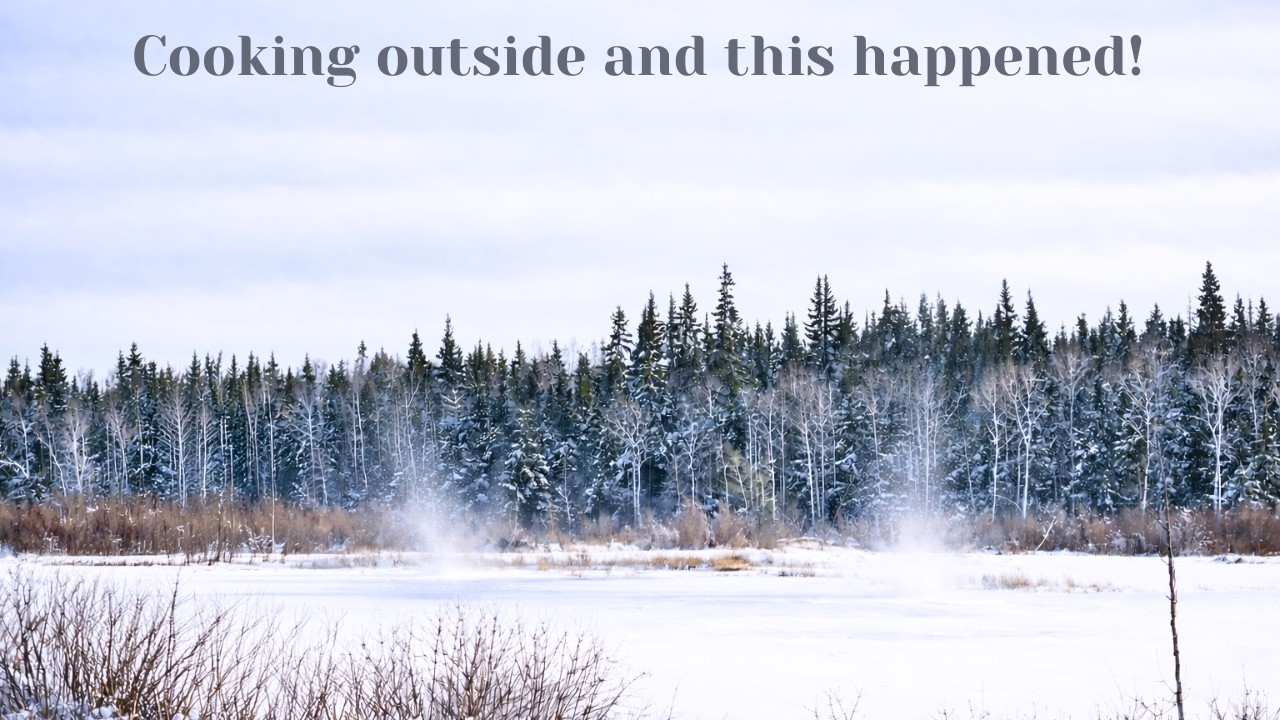 Winter Winds and Snow Squalls in a Frozen Bog| Snow Tornadoes- Camera Blown Over