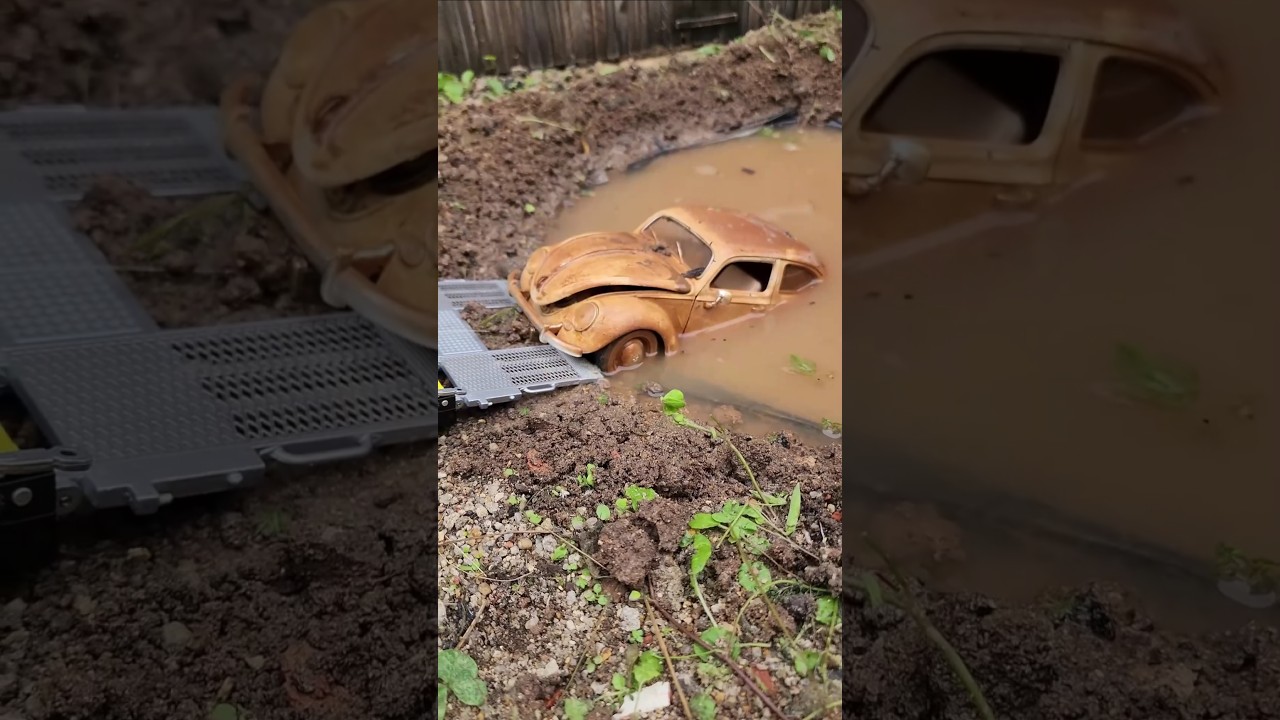 Rescuing And Cleaning a VW Beetle #asmr #cleaning #beetle