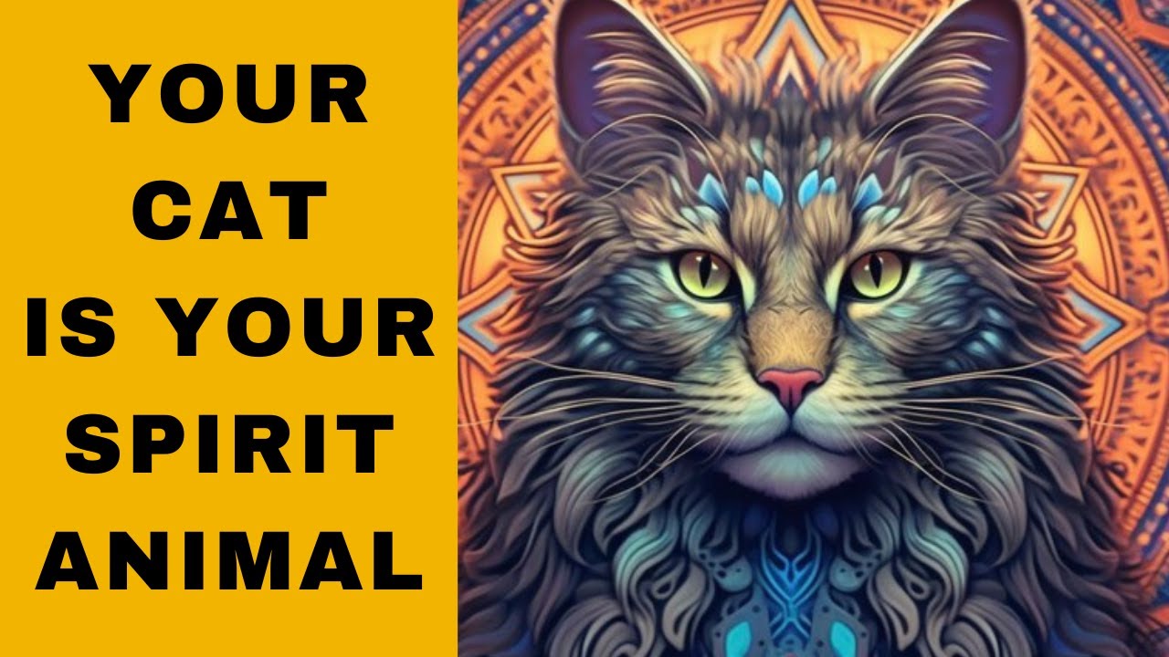 7 Signs Cats Are Your Spirit Animal: Unveiling the Mystical Connection